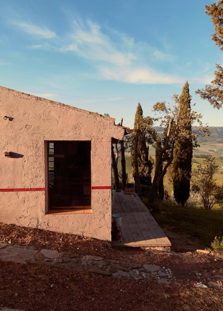 Ferienwohnung Poggio Magginga Terricciola Exterior foto